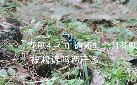花呗470逾期9个月(花呗逾期三个多月会被起诉吗 两千多)