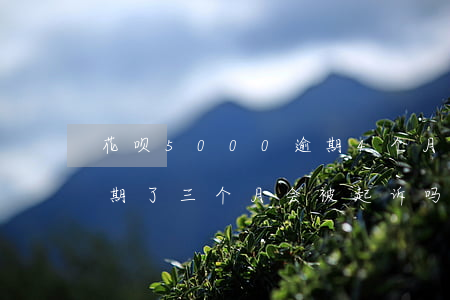 花呗5000逾期4个月要起诉(花呗四百逾期了三个月会被起诉吗无力偿还了)