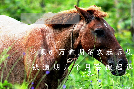 花呗6万逾期多久起诉(花呗逾期1700块钱逾期六个月会被起诉吗)