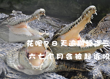 花呗78天逾期算连三吗(欠花呗几千元,逾期六七个月会被起诉吗)