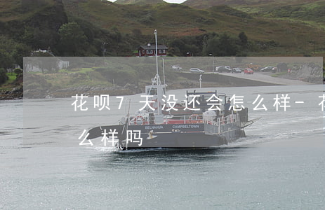 花呗7天没还会怎么样-花呗7天没还会怎么样吗