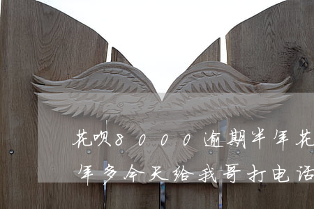 花呗8000逾期半年(花呗8000逾期半年多今天给我哥打电话说明天上门调查)