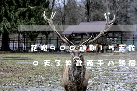花呗900逾期15天(我的花呗逾期了180天了欠款两千八然后...)