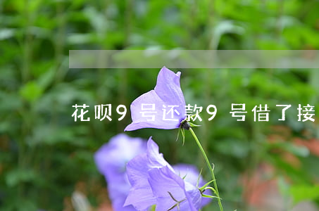 花呗9号还款9号借了接着还吗-