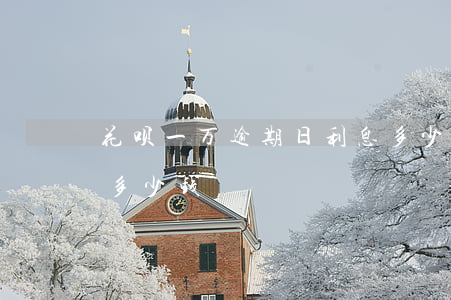 花呗一万逾期日利息多少(借呗1万,逾期一年多少钱)