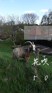 花呗一千五逾期三百多天会怎么样-花呗1500逾期1个月会产生多少费用