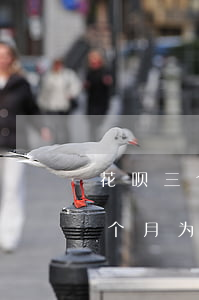花呗三个月都逾期五天(花呗逾期三次还了四个月为什么还用不了)
