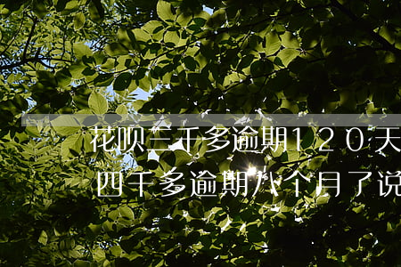 花呗三千多逾期120天会上门吗(花呗逾期四千多,逾期八个月了说要上门)
