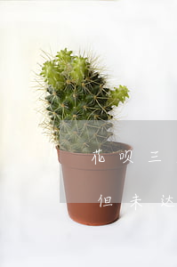 花呗三天之内算不算逾期(花呗逾期超过7天但未达到30天会怎样)