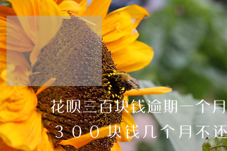 花呗三百块钱逾期一个月怎么了-花呗逾期300块钱几个月不还严不严重