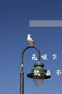 花呗下月还款属于逾期吗(支付宝花呗显示还款后不算逾期是什么意思)