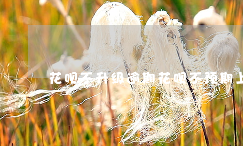 花呗不升级逾期(花呗不预期上征信吗)