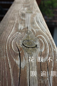 花呗不小心逾期一天借呗额度关闭-花呗借呗逾期1天还了之后还了影响征信吗