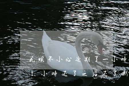 花呗不小心逾期了一小时有事吗-花呗逾期1小时还了之后还了影响征信吗