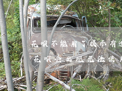 花呗不能用了提示有逾期(花呗没逾期为什么花呗会出现无法使用)