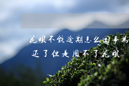 花呗不能逾期怎么回事(为什么花呗逾期已经还了,但是用不了花呗)
