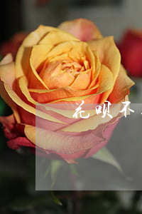 花呗不逾期也会上征信吗