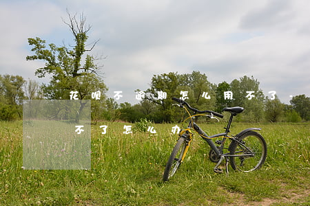 花呗不逾期怎么用不了-花呗不逾期怎么用不了怎么办