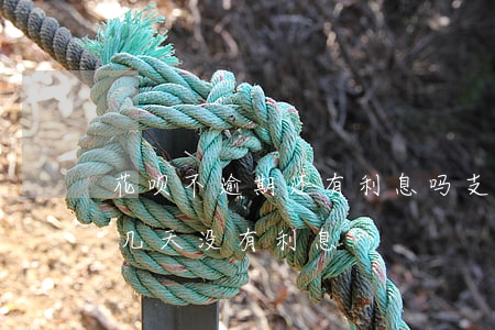 花呗不逾期还有利息吗(支付宝花呗可以逾期几天没有利息)