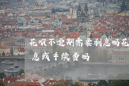 花呗不逾期需要利息吗(花呗不逾期会员要利息或手续费吗?)