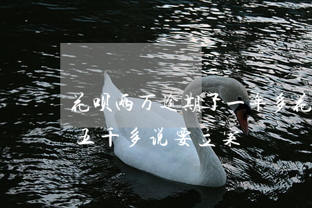 花呗两万逾期了一年多(花呗逾期两年多,欠了五千多说要立案)