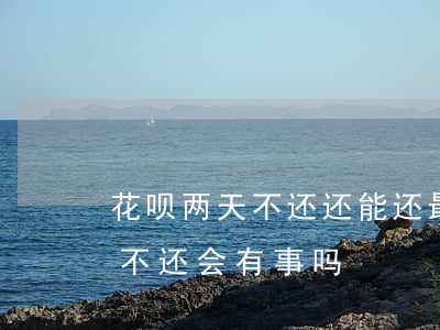 花呗两天不还还能还最低还款吗-花呗两天不还会有事吗