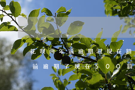 花呗两年前逾期过现在额度提了-花呗两年前逾期了现在500额度不会涨