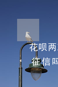 花呗两次逾期会上征信吗(花呗逾期几个月上征信吗?花呗逾期有什么后果)