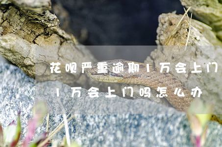 花呗严重逾期1万会上门吗-花呗严重逾期1万会上门吗怎么办