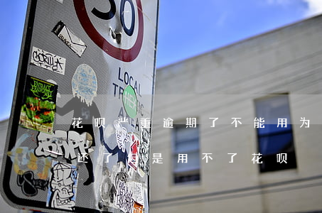 花呗严重逾期了不能用(为什么花呗逾期已经还了,但是用不了花呗)