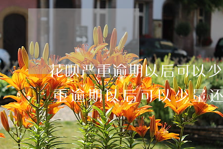 花呗严重逾期以后可以少量还款吗-花呗严重逾期以后可以少量还款吗知乎