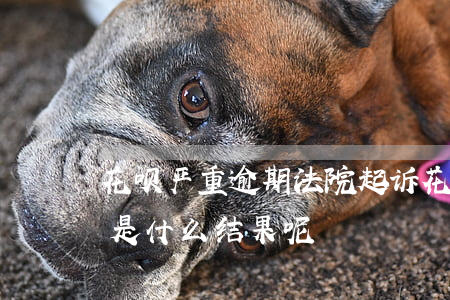 花呗严重逾期法院起诉(花呗逾期法院起诉会是什么结果呢?)