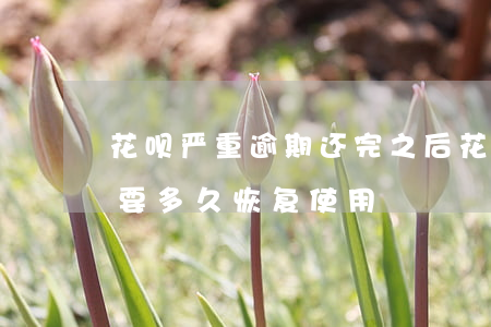 花呗严重逾期还完之后(花呗逾期已经还清楚,要多久恢复使用)