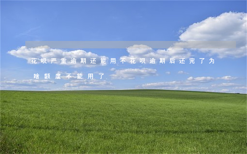 花呗严重逾期还能用不(花呗逾期后还完了,为啥额度不能用了)