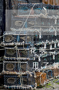 花呗二次逾期显示不可用(花呗逾期现在不能用了,能恢复正常使用吗)