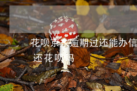 花呗京东逾期过还能办信用卡吗(京东卡可以还花呗吗)