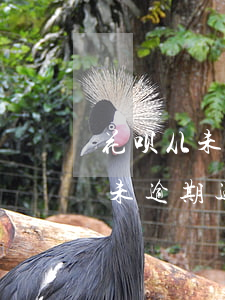 花呗从未逾期过为啥忽然不能用了-花呗从未逾期过为啥忽然不能用了呢