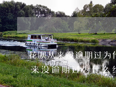 花呗从来没逾期过为什么给关闭了-花呗从来没逾期过为什么给关闭了呢