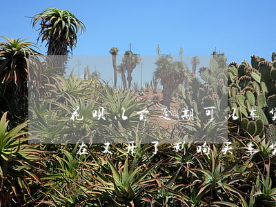 花呗以前逾期可以车贷吗(花呗之前逾期过现在又开了影响买车贷款吗)