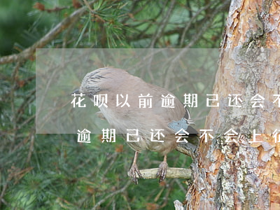 花呗以前逾期已还会不会上征信-花呗以前逾期已还会不会上征信记录