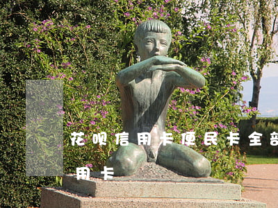 花呗信用卡便民卡全部逾期(花呗逾期能办信用卡)