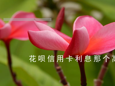 花呗信用卡利息那个高