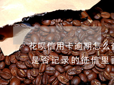 花呗信用卡逾期怎么查看(怎么查询花呗逾期是否记录的征信里面)
