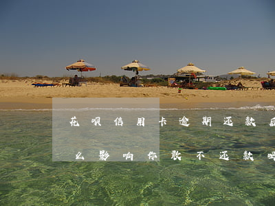 花呗信用卡逾期还款后果(花呗逾期还款有什么影响?你敢不还款吗)