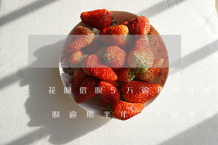 花呗借呗5万逾期两年能做飞机吗-花呗借呗逾期半年了,可以坐高铁吗