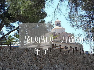 花呗借呗一万逾期一年了(花呗借呗一万逾期一年了)
