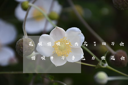 花呗借呗一共欠了四万会被起诉吗-欠花呗借呗4万多无力偿还会有什么后果