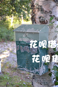 花呗借呗一共欠多少钱不能知道吗-支付宝花呗借呗欠多少就可以起诉