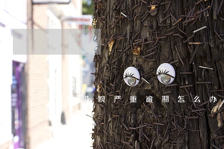 花呗借呗严重逾期怎么办(花呗借呗严重逾期怎么办)