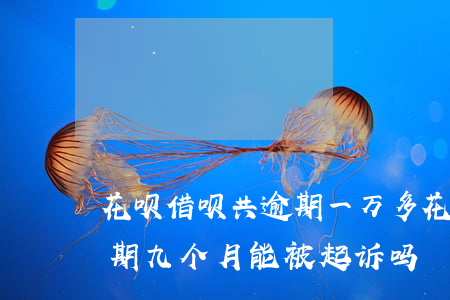 花呗借呗共逾期一万多(花呗借呗欠1万四逾期九个月能被起诉吗)